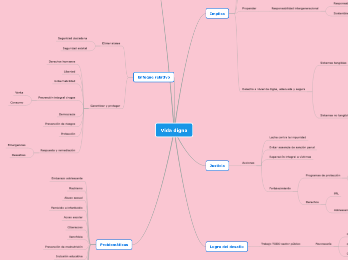 Vida Digna Mind Map